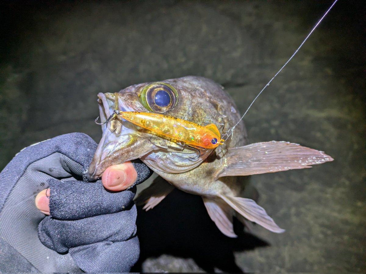 Fishman (@Fishman_BC) / Posts / X