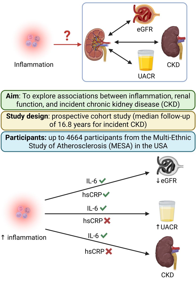 EJPC Editor-in-Chief tweet media