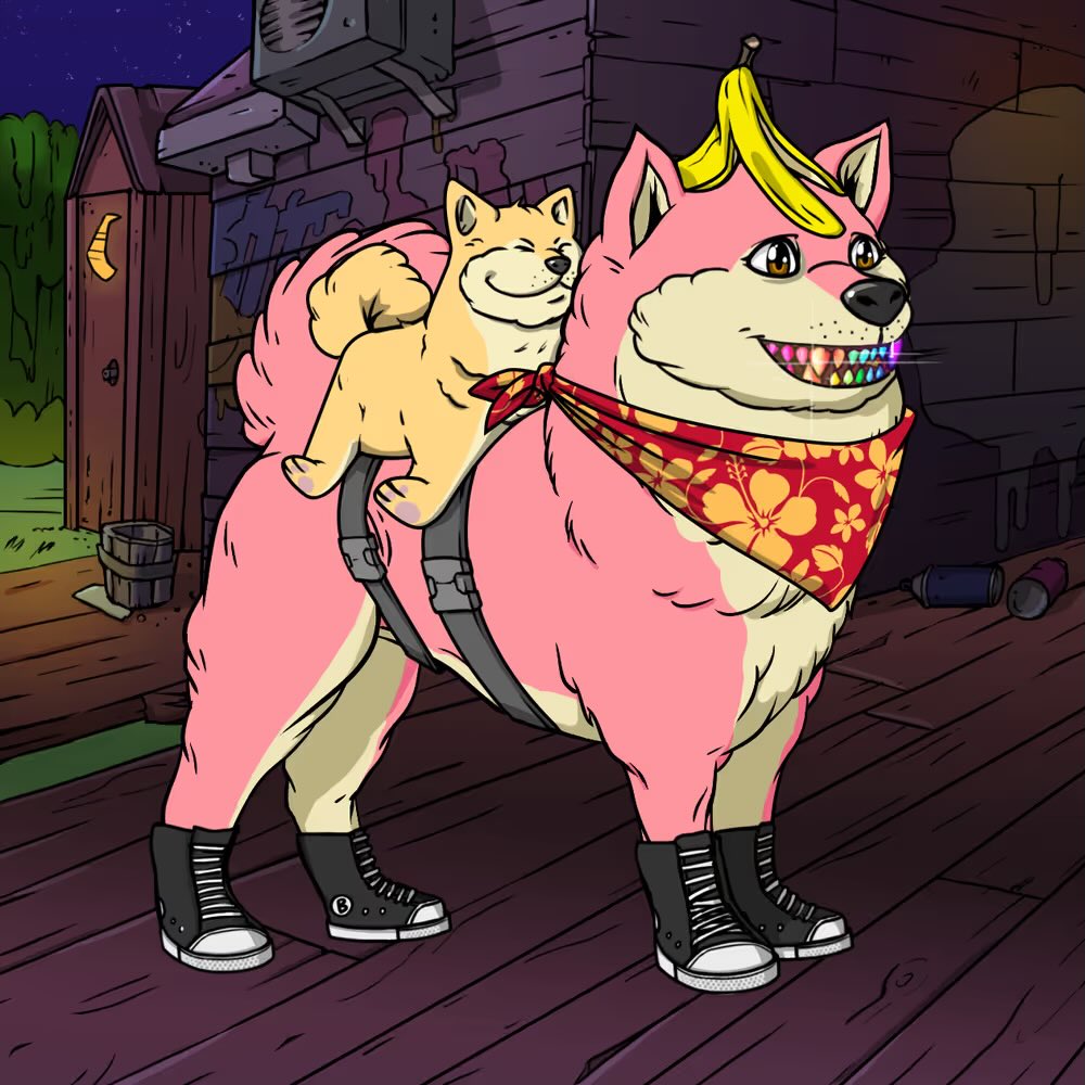 Crypto Ponii tweet media