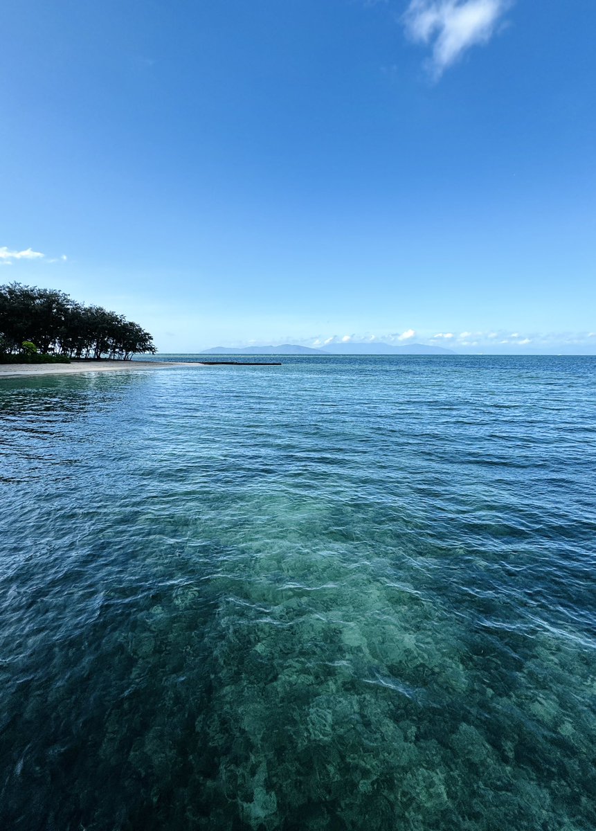 Great Barrier Reef 🪸 Cairns, Australia 🇦🇺