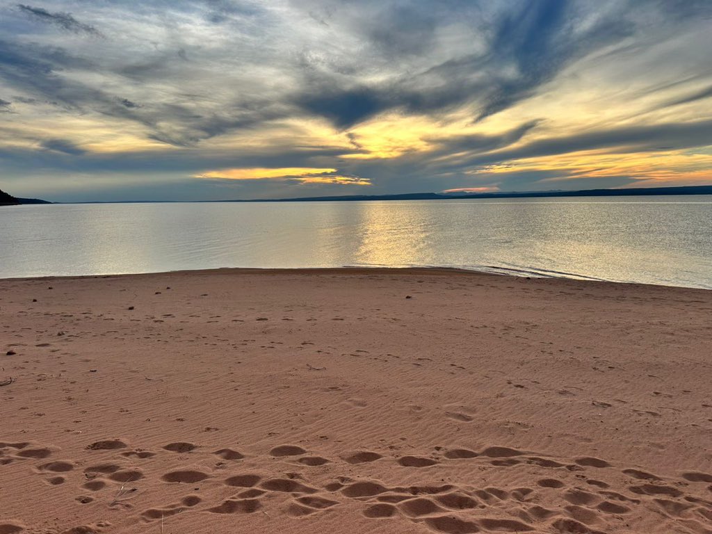 Savanna Trust tweet media