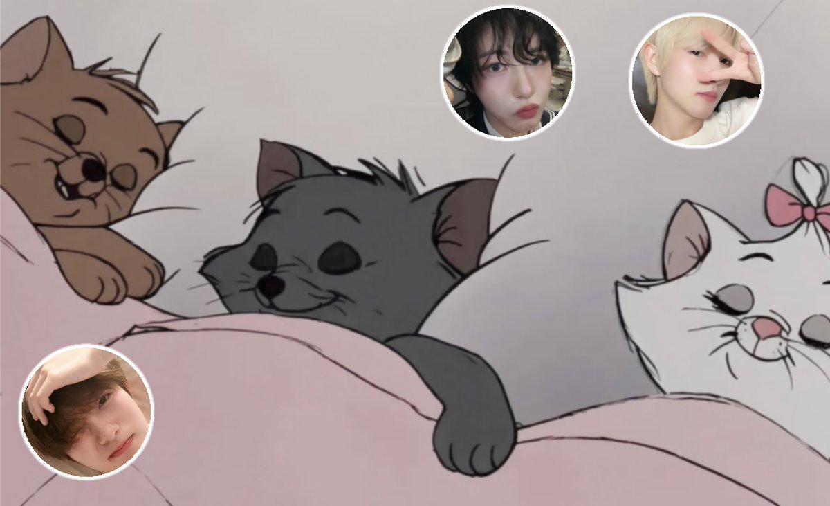 🐈‍⬛🎀♡♡♡