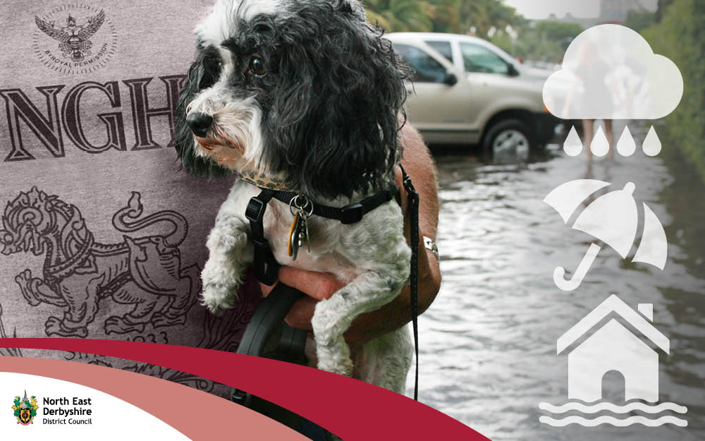 North East Derbyshire District Council tweet media