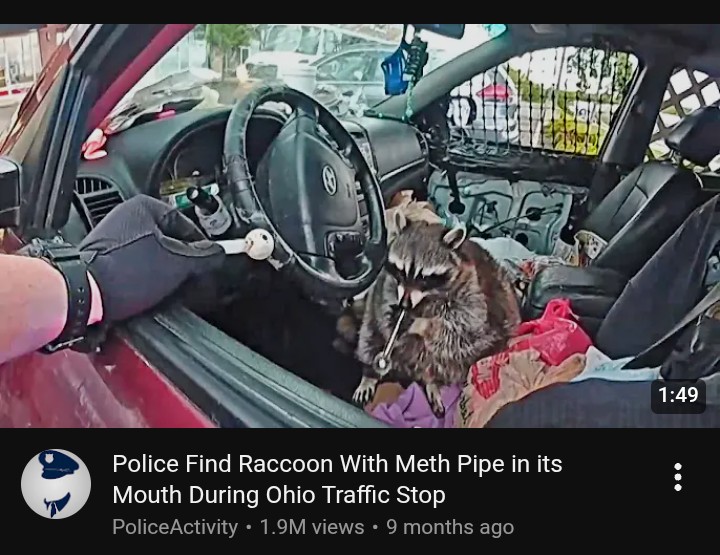 John Catron tweet media