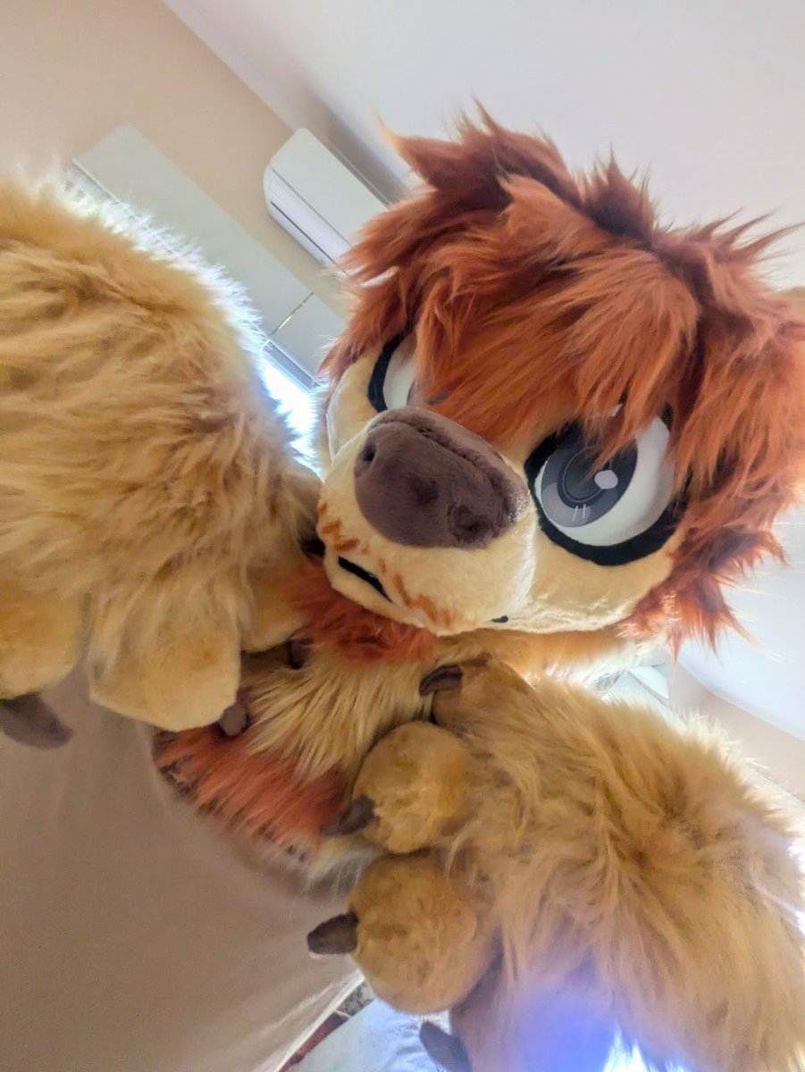 Felix ✨(COMMS OPEN) tweet media