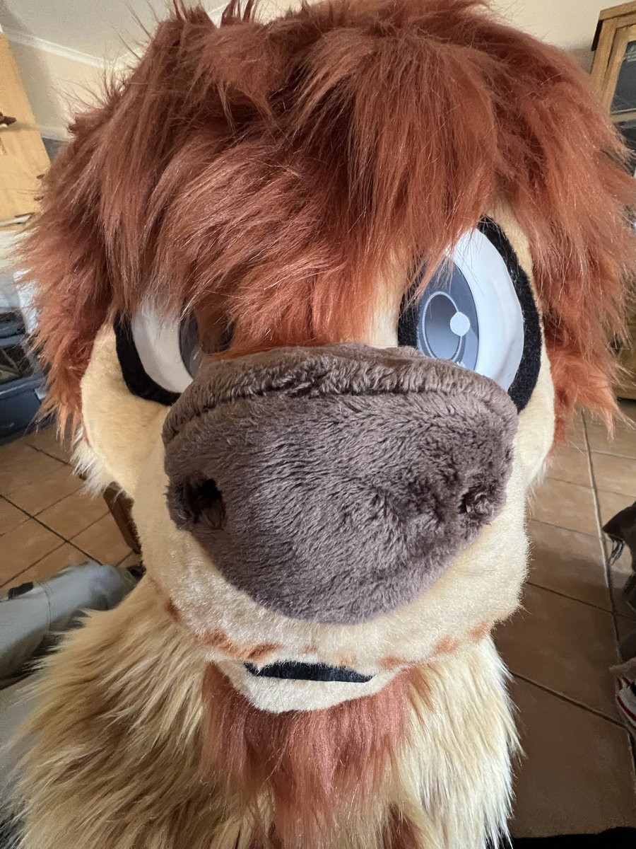 Felix ✨(COMMS OPEN) tweet media