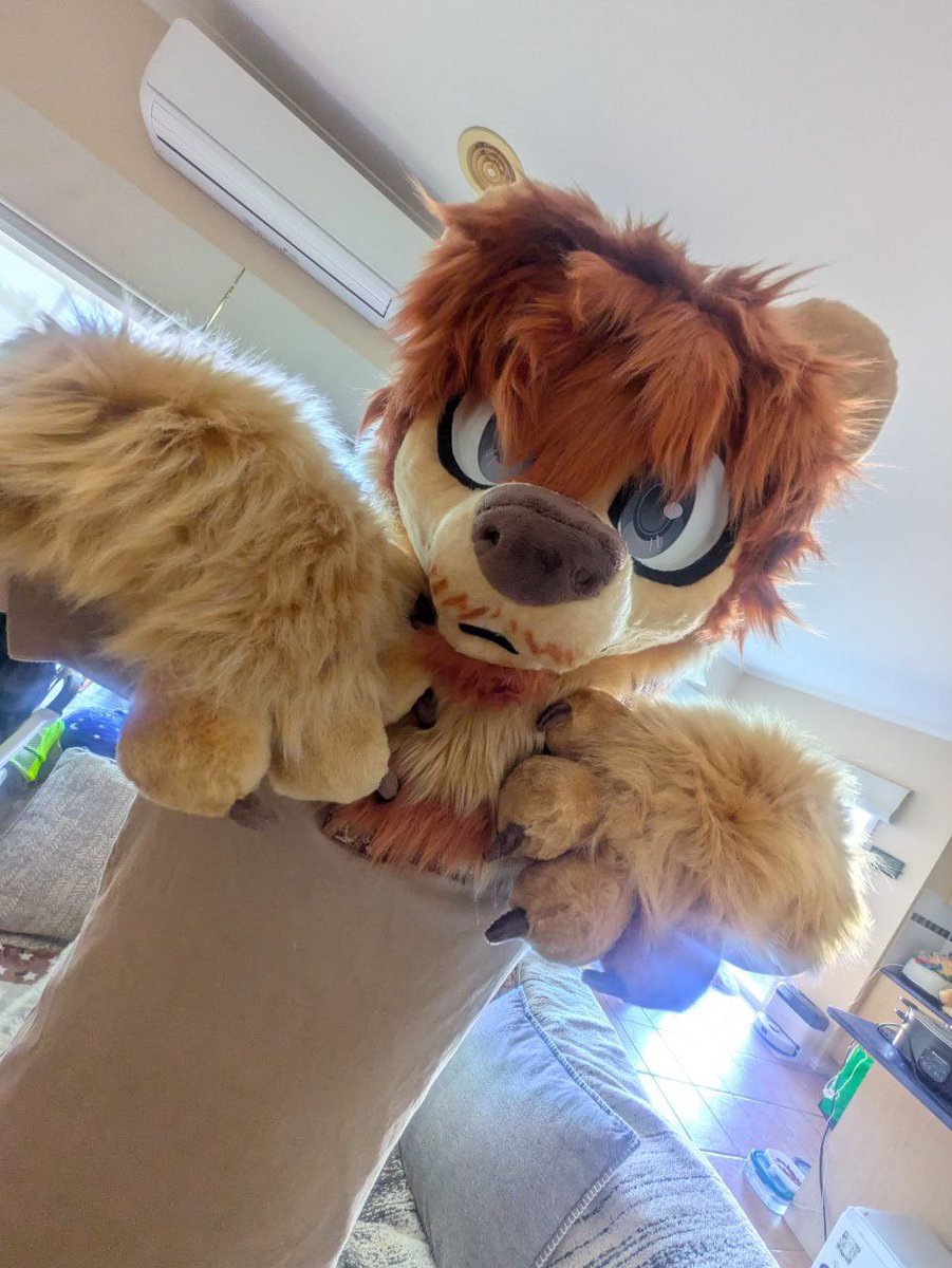 Felix ✨(COMMS OPEN) tweet media