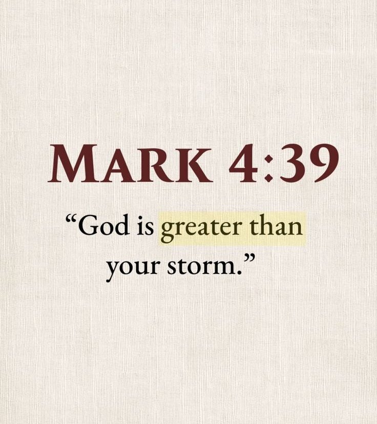 The Bible tweet media