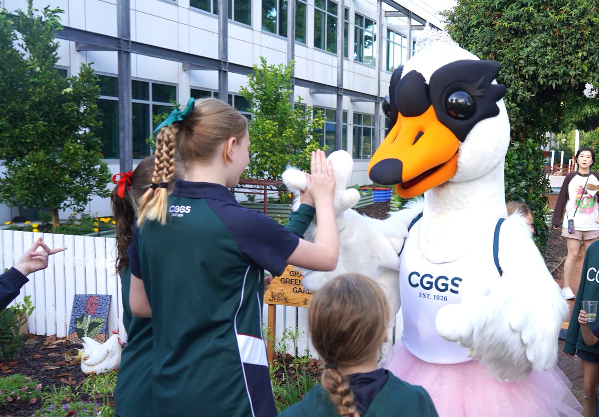 Canberra Girls Grammar School tweet media