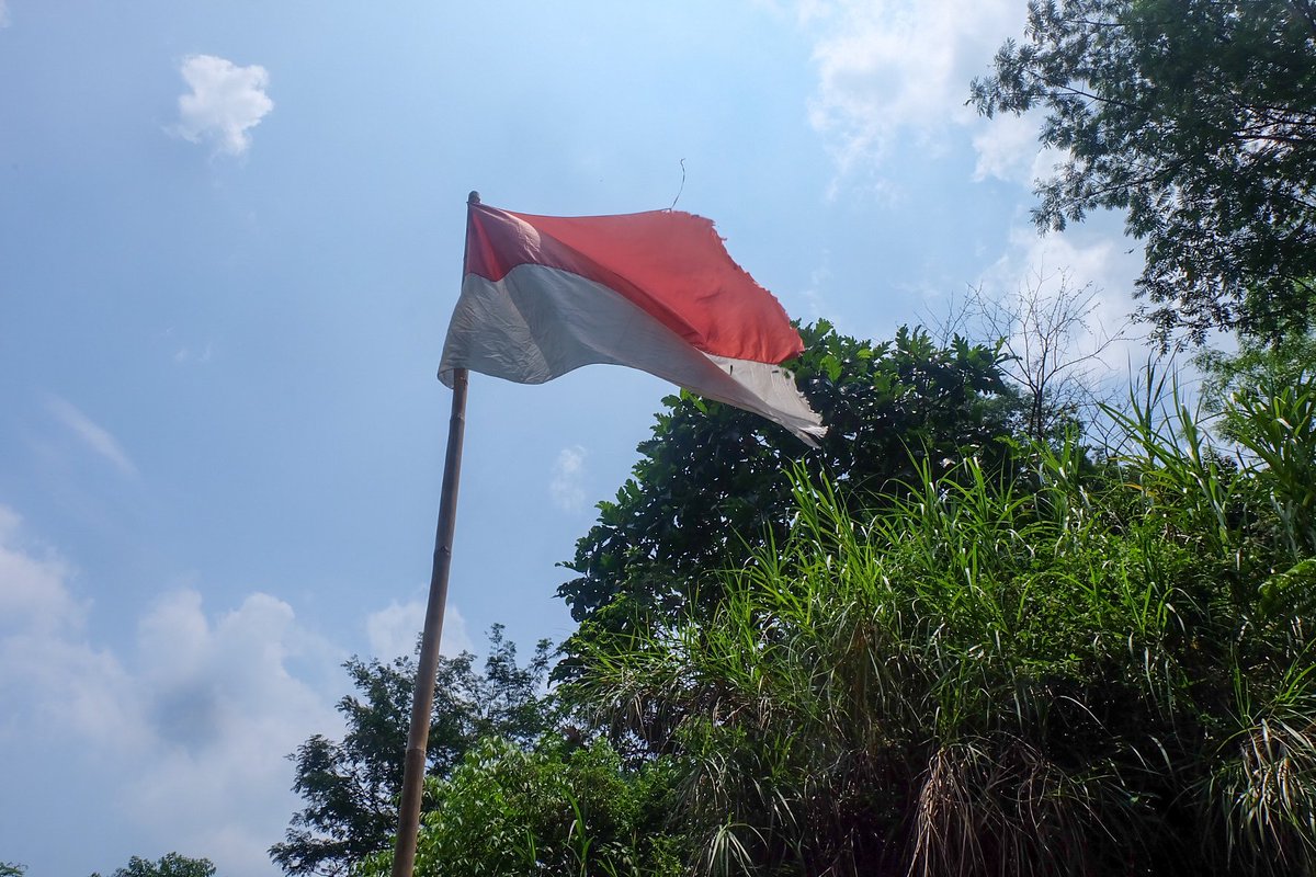 catonlythoughts's tweet image. Just your average Indonesian photographer sharing his art online