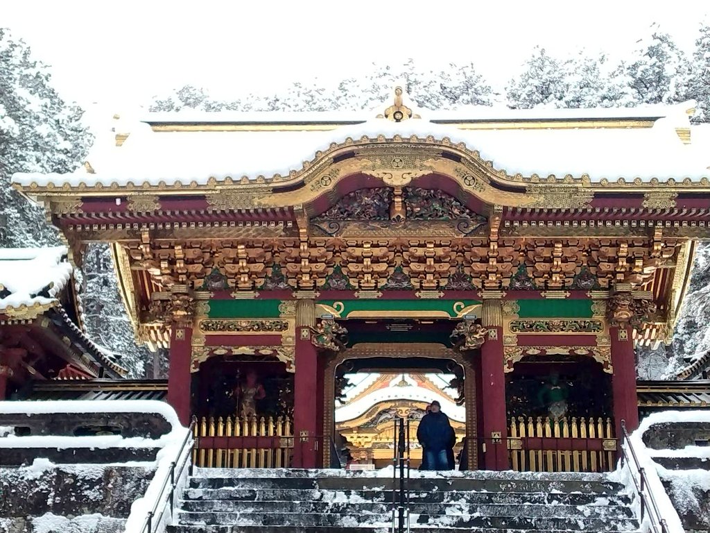 父がもう元気に鬼怒川まで
行ったらしく、ビックリ
するやら安心するやら😅