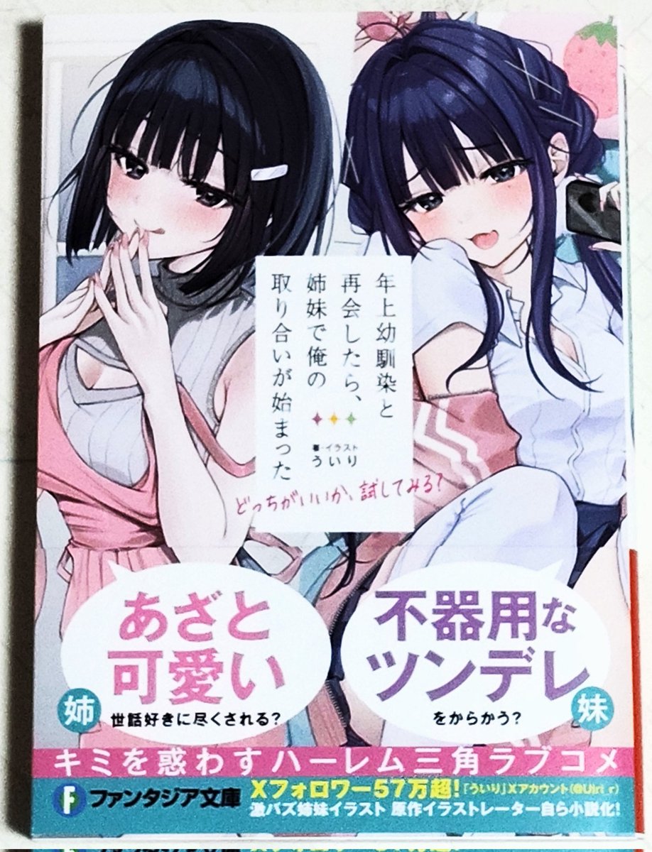 年上幼馴染と再会したら、姉妹で俺の取り合いが始まった どっちがいい