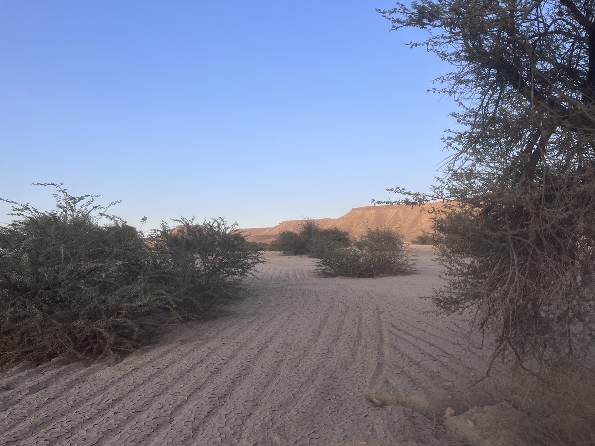 طارق الحسين tweet media