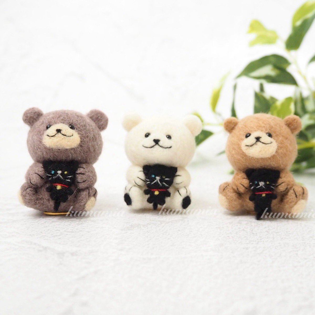 ∀`)🐻🐈‍⬛🐻‍❄️🐈‍⬛🐻🐈‍⬛