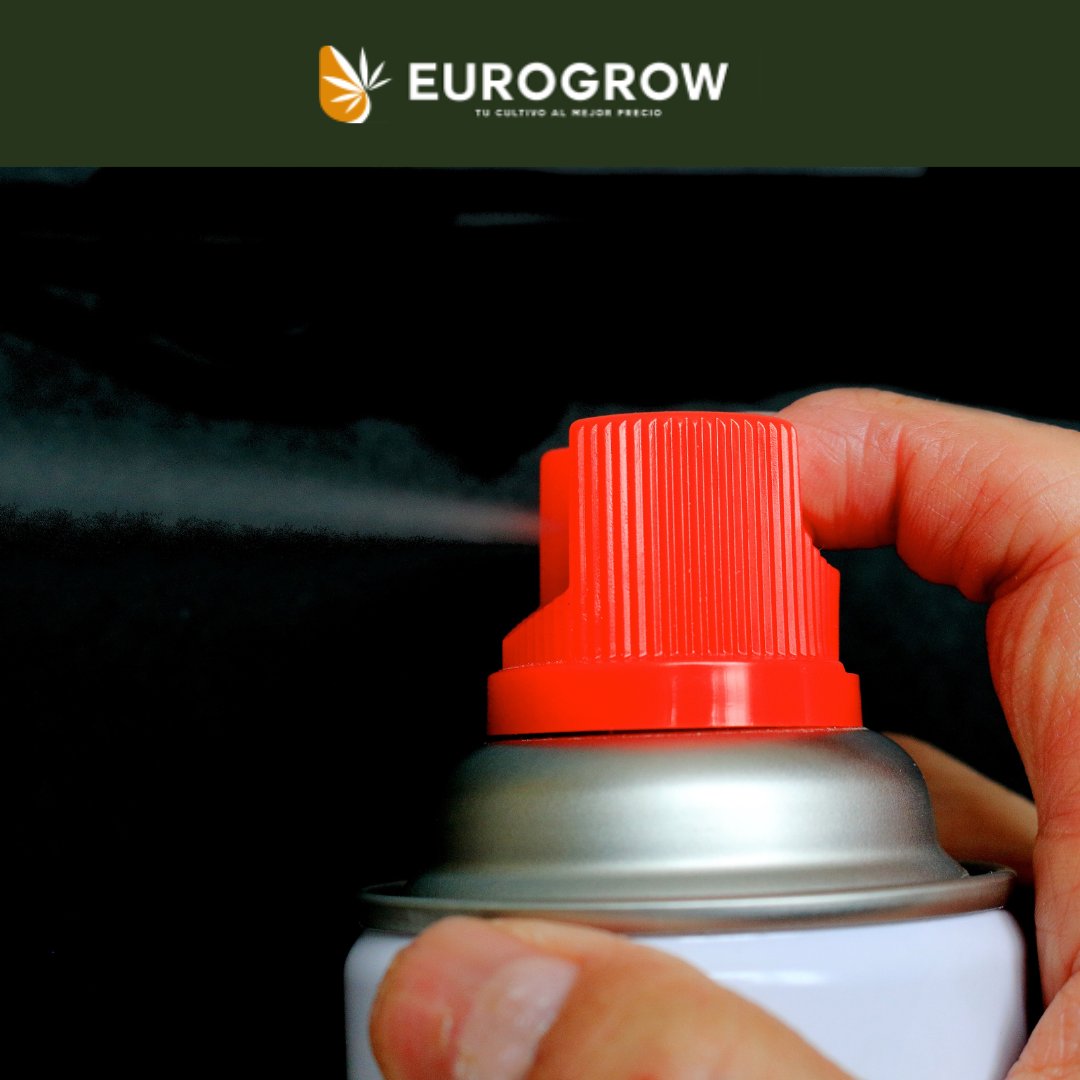 En Eurogrow encontrarás insecticidas y tratamientos preventivos para mantener las plagas bajo control y cuidar tu cultivo sin comprometer su desarrollo.

Ventajas:
1️⃣ Evita infestaciones.
2️⃣ Mantiene la salud de hojas y raíces.
3️⃣ Compatible con todo tipo de sistemas de cultivo.