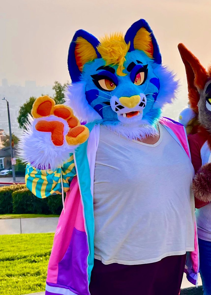 Selling my personal suit, Calypso! She’s a sassy demon cat!  comes with her head (whiskers removed), removable eyelids, paws, tail, armsleeves, and feetpaws (size 10 women’s) 
She is unlined. Will include balaclava. 
Looking for offers of 1,000+. Buyer pays shipping.