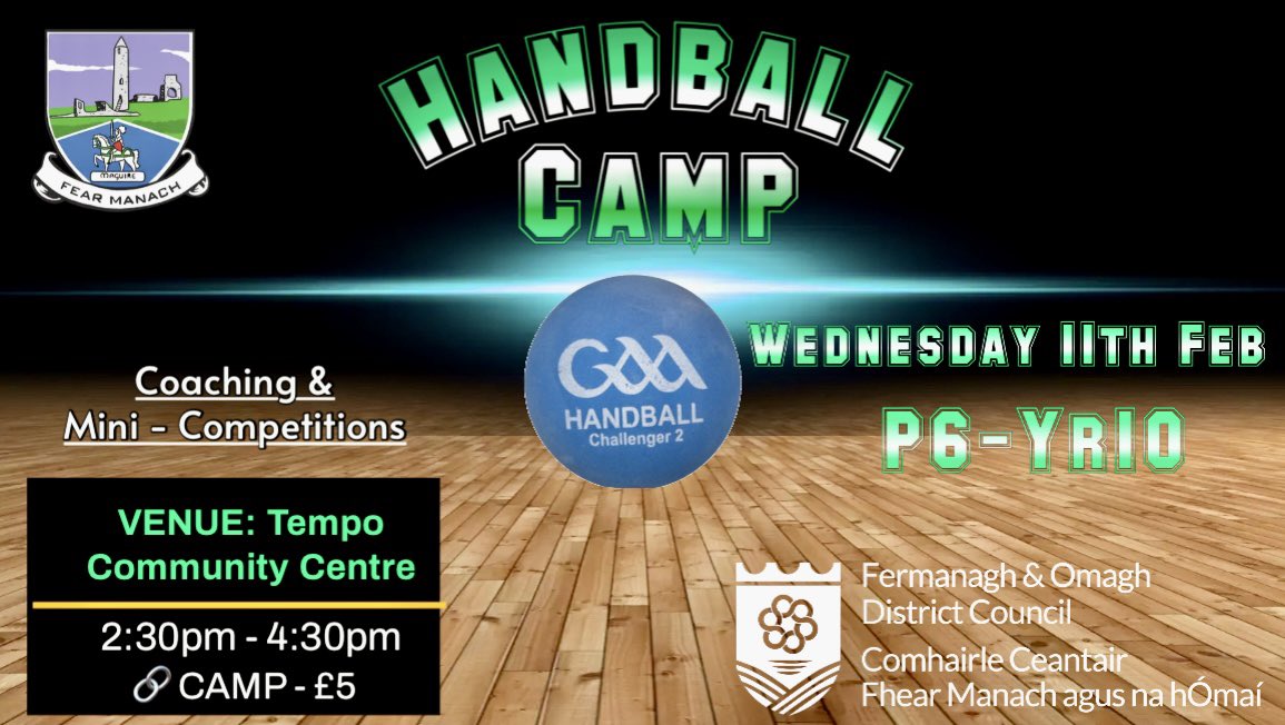 Fermanagh GAA Coaching & Games tweet media