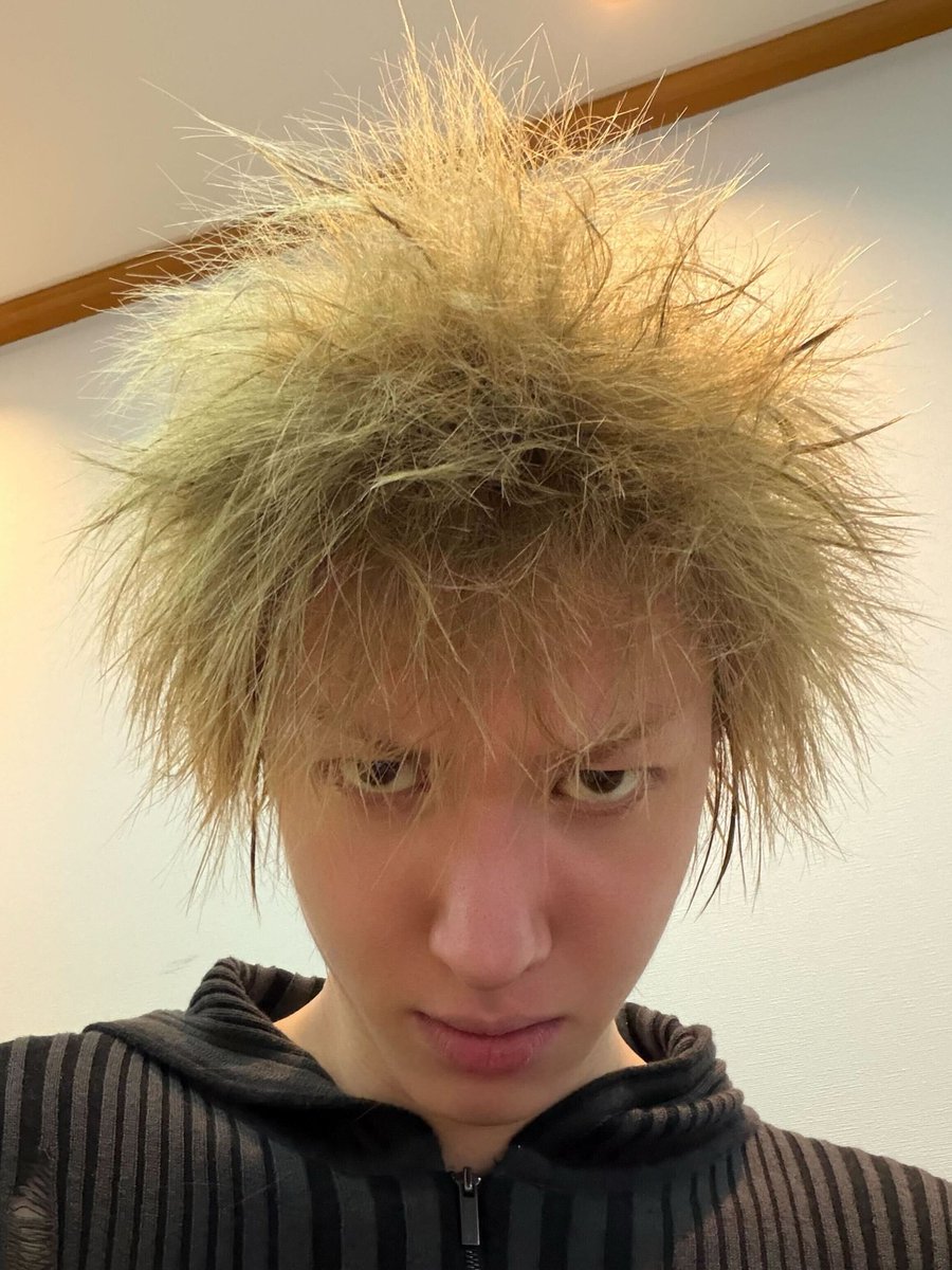 eomartz's tweet image. ilalang