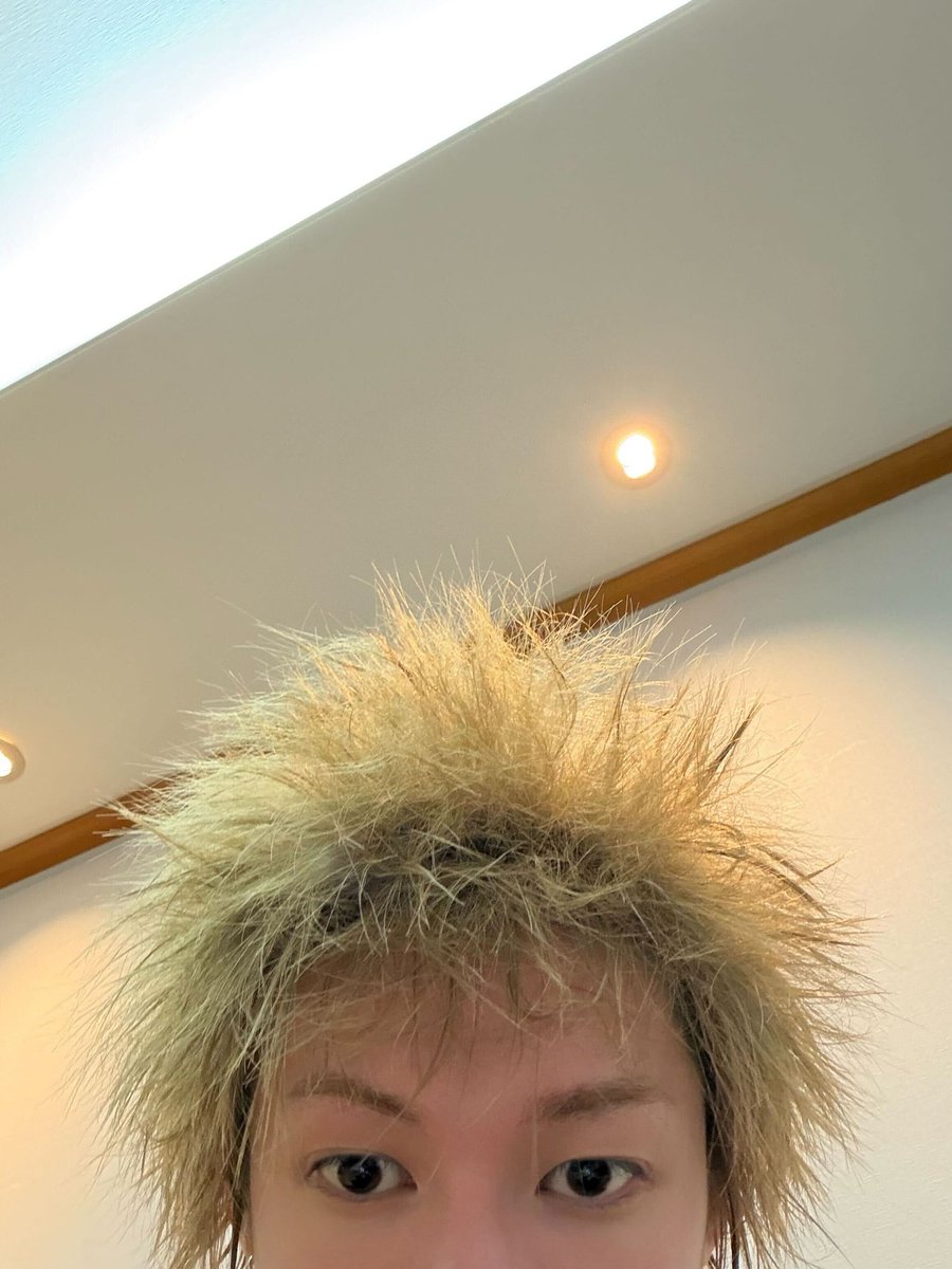 eomartz's tweet image. ilalang