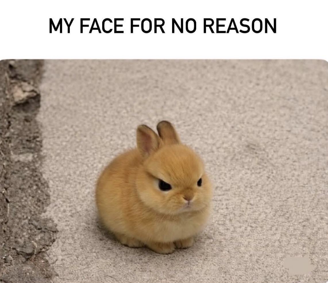 Retro Toys and Cartoons (@toys_retro) on Twitter photo 