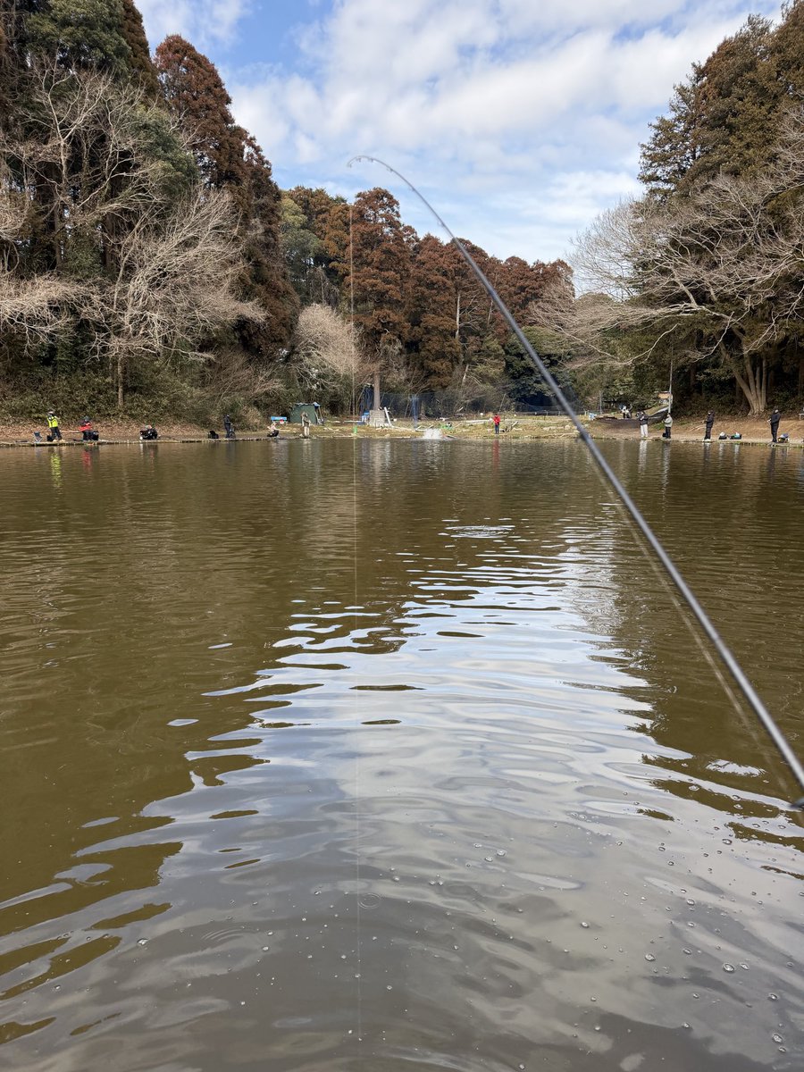 cheberausu's tweet photo. 今日は久しぶりに #ジョイバレー 行った
やっぱり #ウォルトンガーデン よりサイズも小さいし引きも弱いけど
数は釣れるわww5時間で34匹！
放流後全く釣りきれなかったけど
すぐ近くに #松本幸雄　さんが✨
参考にさせていただきました✨
充実した休日でした♪
楽しかったー！ https://t.co/0YSryucAfG