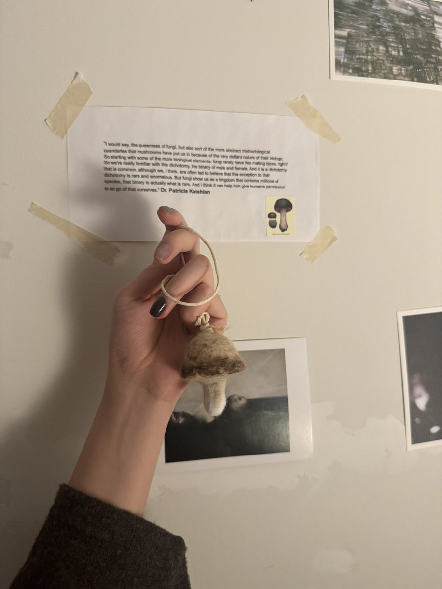 狗毛蘑菇！（我搓搓搓…