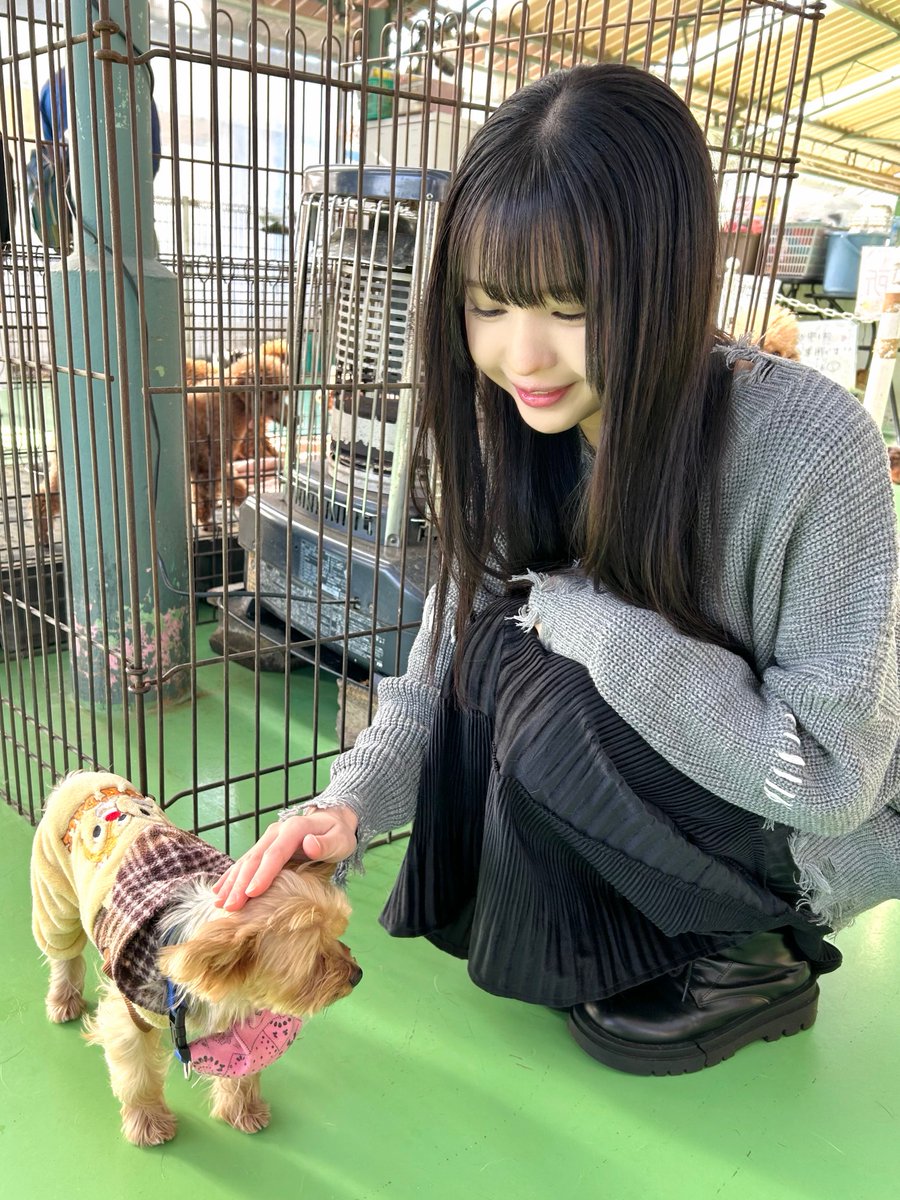 ≒JOY_official (@Nearlyequal_joy) / Posts / X