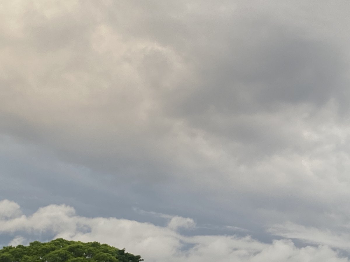 JeaneneHyles's tweet photo. looks like there is some sprinkles somewhere near!
#goldcoast #weneedrain https://t.co/VcMixzLYEQ