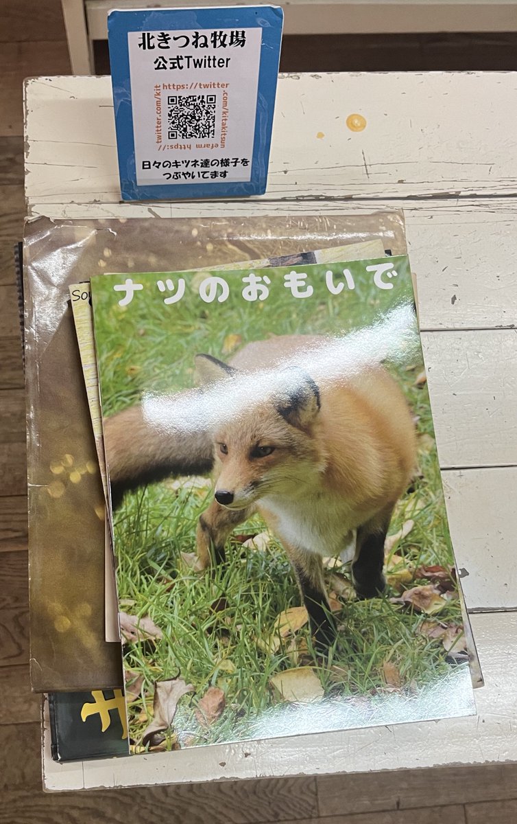キツツキ tweet media