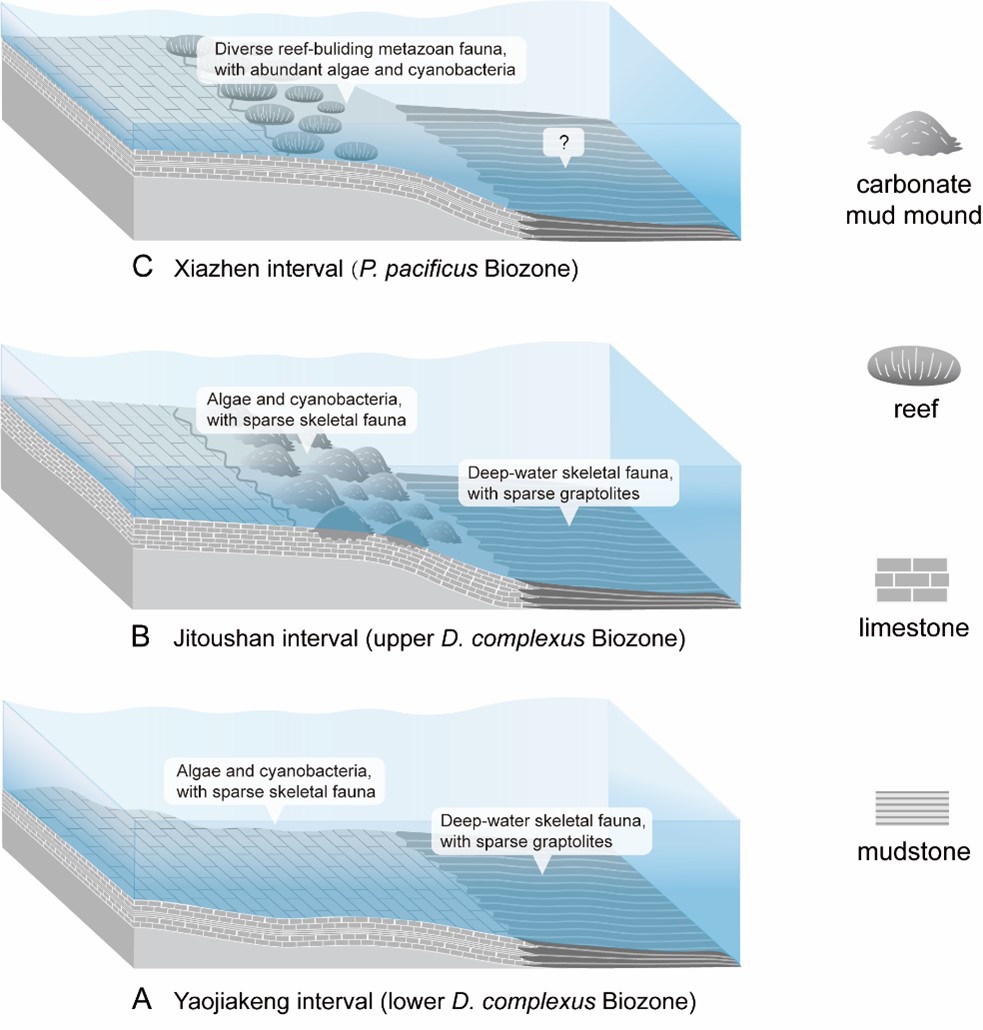 ELS Publishing tweet media