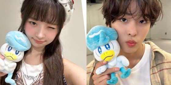 헤테로 아카이브 tweet media