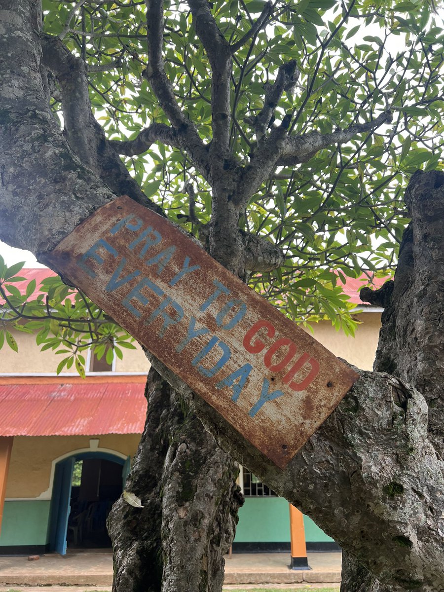 🎶 LIAR Out Now ❤️‍🔥 tweet media