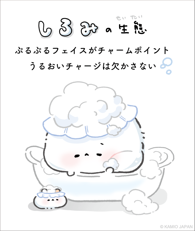 株式会社カミオジャパン💙 (@kamiojapan) / Posts / X