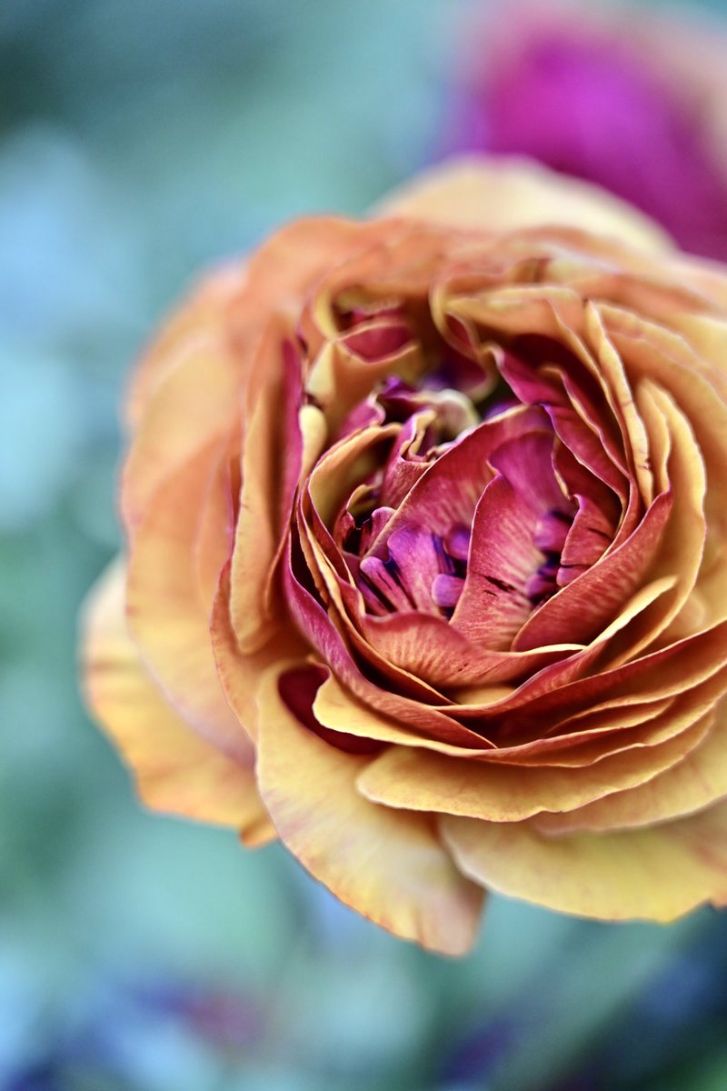 さくら📷咲良 (@sakura555_923) / Posts / X