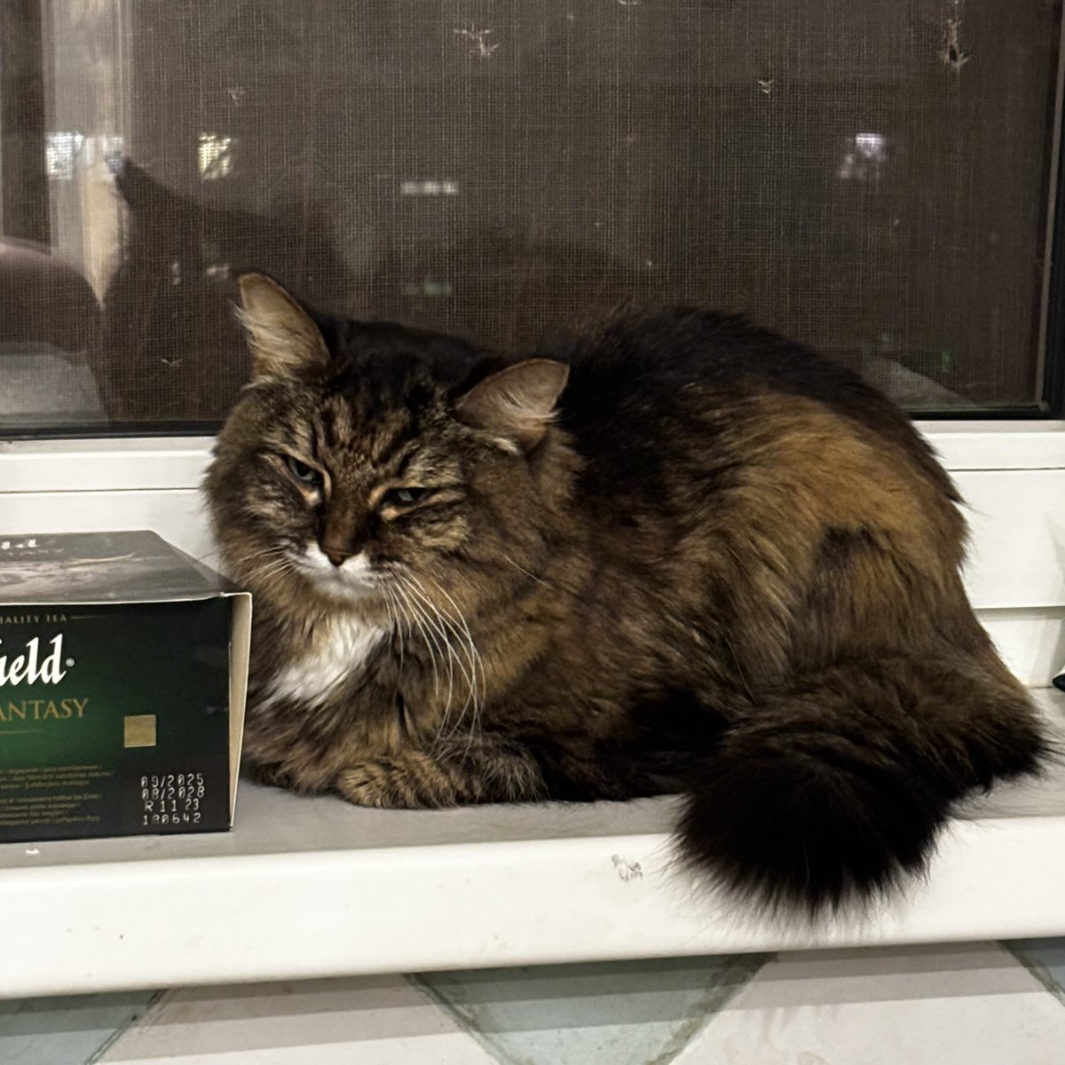 лидонхёниха tweet media