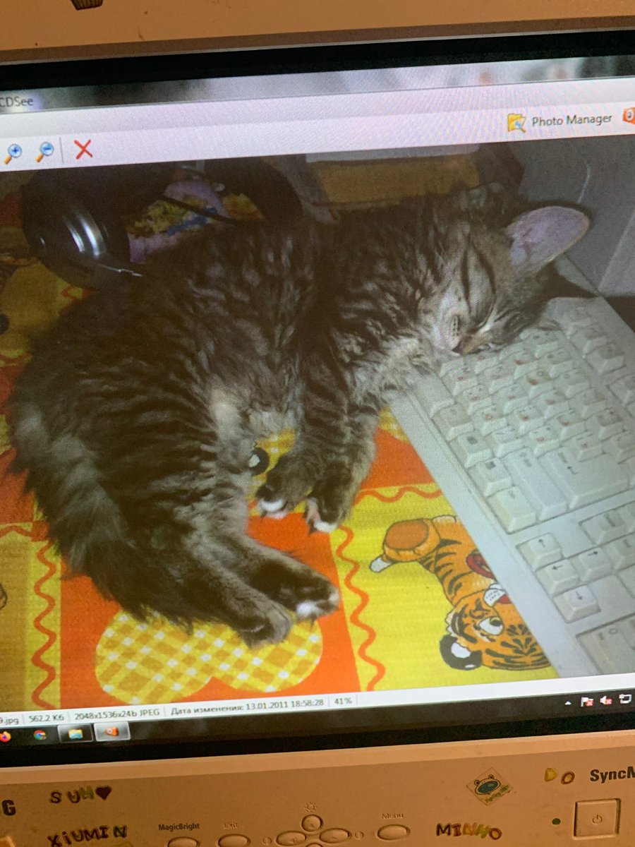 лидонхёниха tweet media