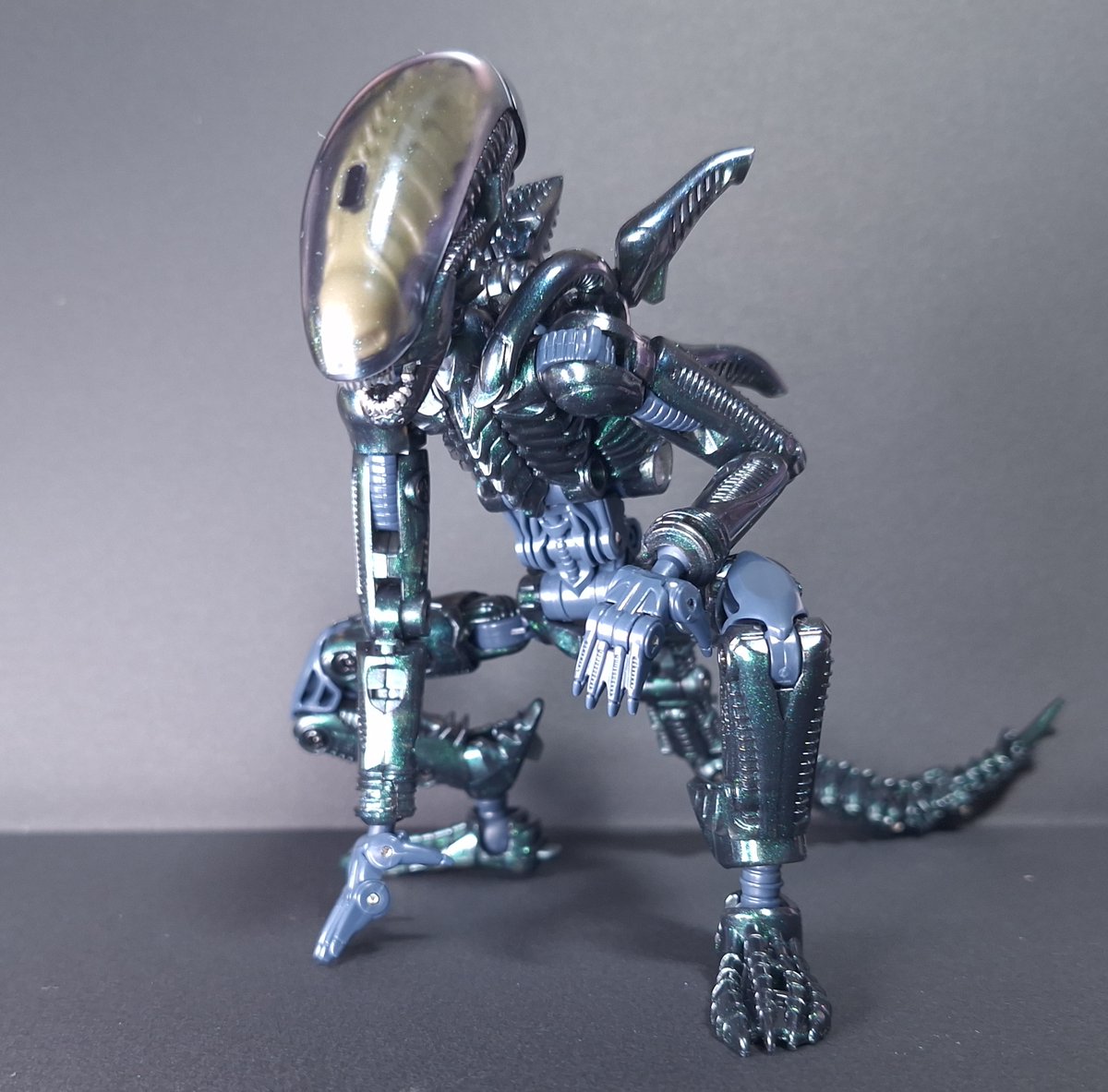 U_shin_raicho's tweet image. WFで販売されてた52TOYSのゼノモーフDEEP SPACE。成形色がテロテロキラキラになっててキモくて綺麗でした。ノーマルも良かったけどすごく得体の知れない雰囲気が出てる
#52TOYS #BEASTBOX #INFINITYBOX