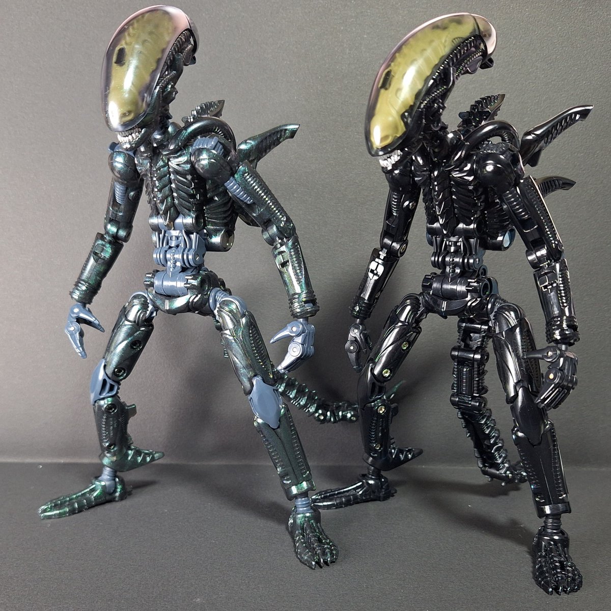 U_shin_raicho's tweet image. WFで販売されてた52TOYSのゼノモーフDEEP SPACE。成形色がテロテロキラキラになっててキモくて綺麗でした。ノーマルも良かったけどすごく得体の知れない雰囲気が出てる
#52TOYS #BEASTBOX #INFINITYBOX