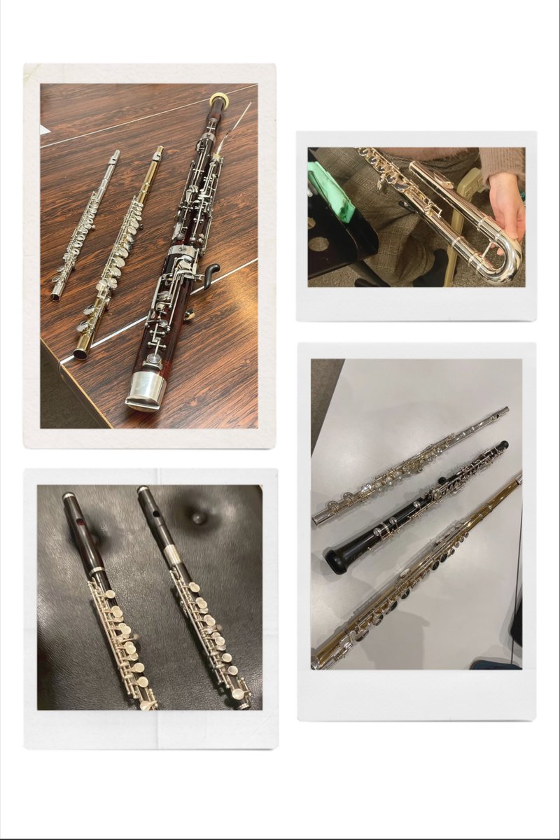 Snowl Ensemble tweet media