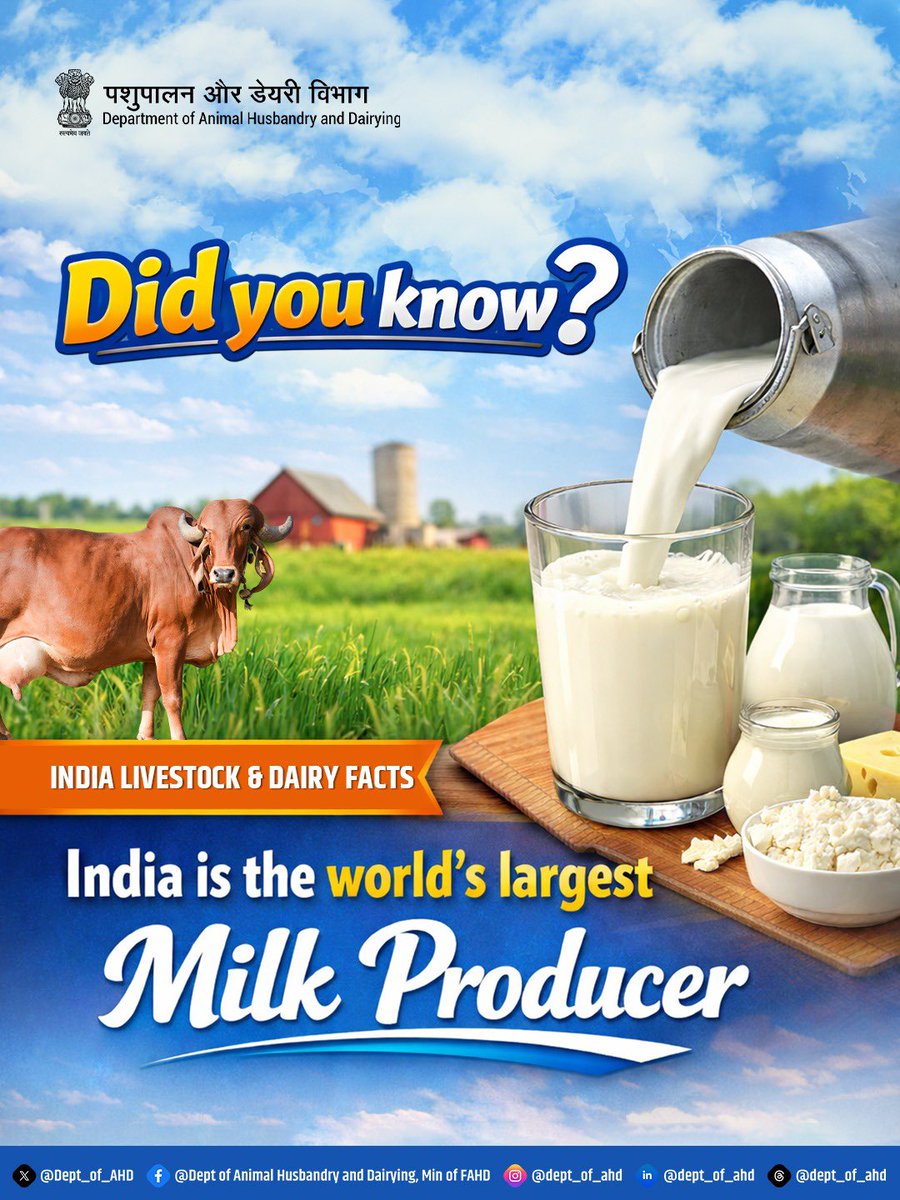 Dept_of_AHD's tweet image. India remains the world’s largest milk producer, with total milk production reaching 247.87 million tonnes in 2024-25, as per Basic Animal Husbandry Statistics 2025.

#Dairy
#MilkProduction
#AnimalHusbandry