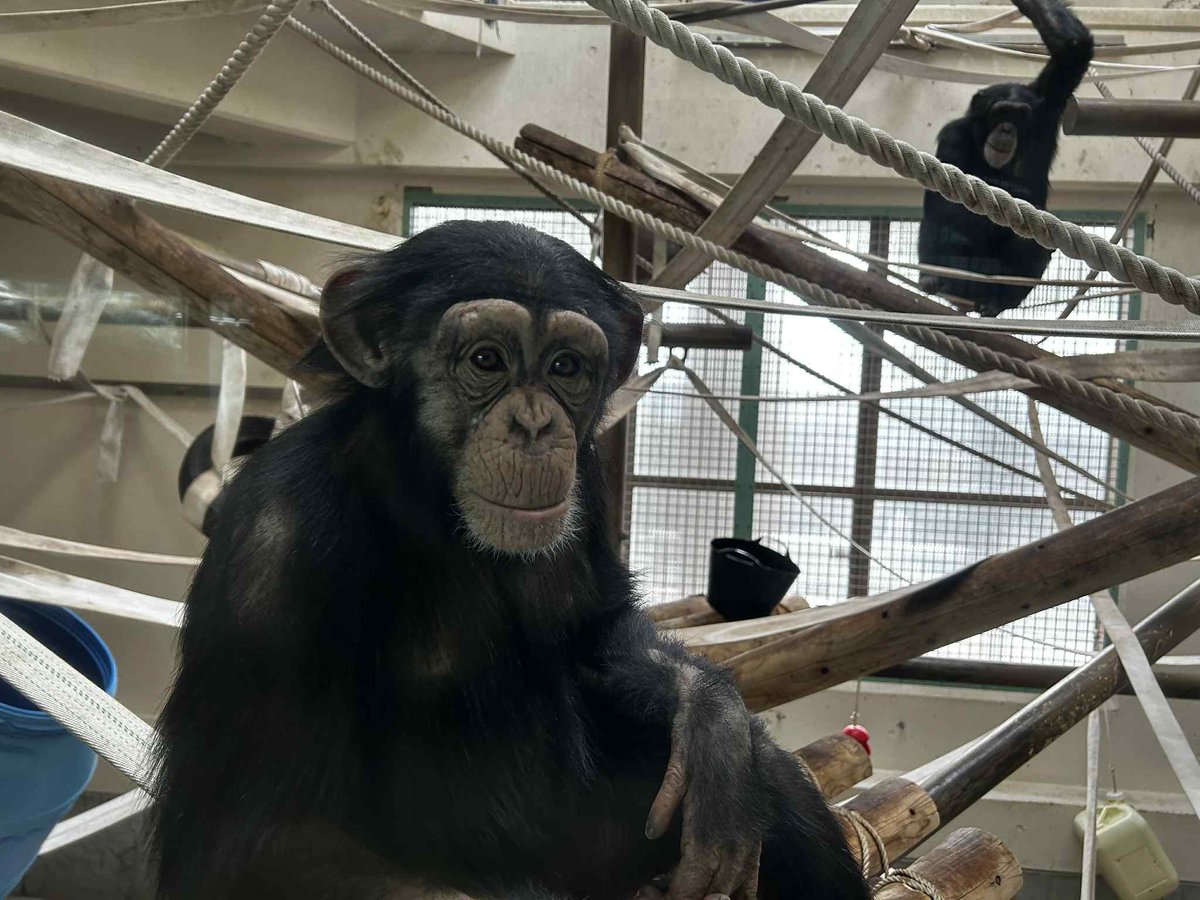 クラファン 多くの方にご支援を頂き、心よりお礼申し上げます。残り18