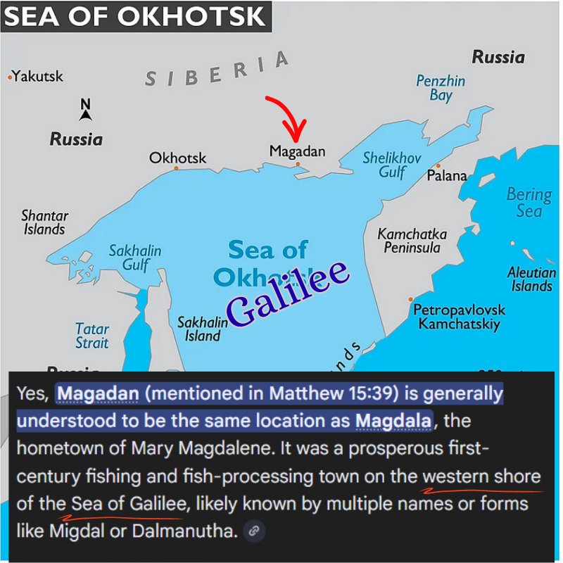 LeavingBabylon tweet media