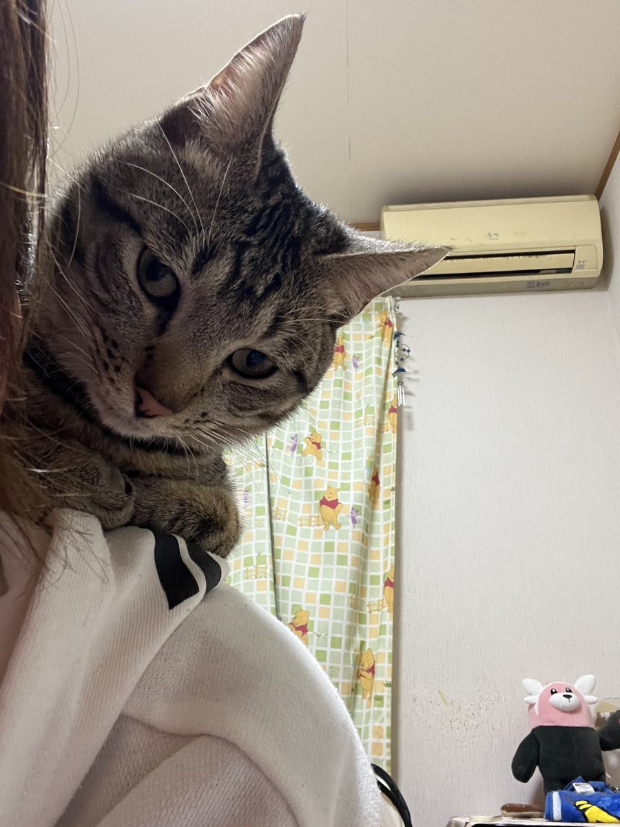 アチャ (@acha_acha04) / Posts / X