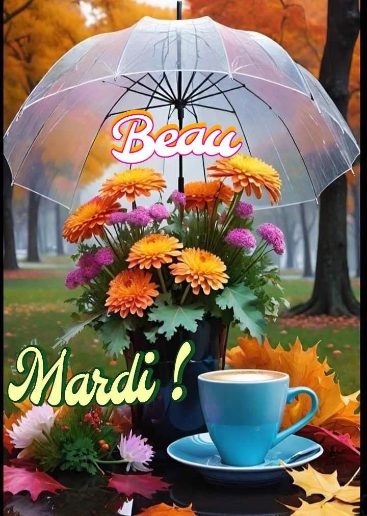 Bonjour excellent mardi à toutes et tous. En ce moment un parapluie n’est jamais un objet superflu😉belle journée 👋🏻☕️🕊️✊