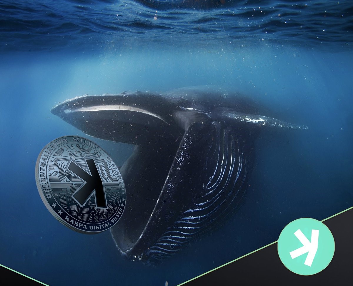 DEX.cc Commons 𐤊 tweet media