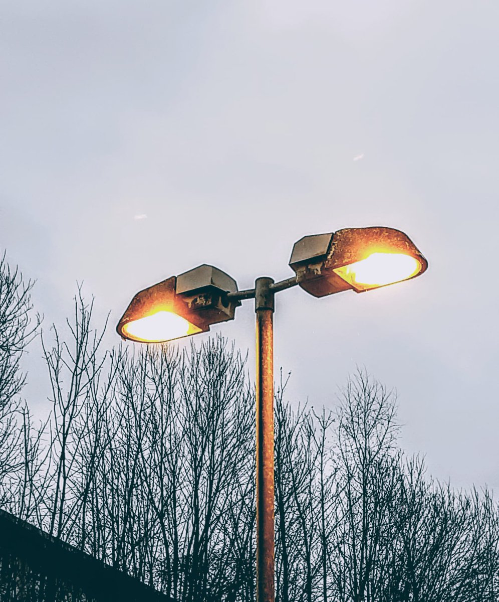 sparrows chirp, light drizzling,  tired winter...