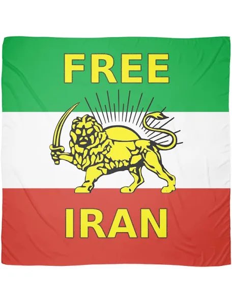 DrNeilStone's tweet photo. Today is one day closer to freedom for Iran 

Not long to go now https://t.co/OE7iw5Phiw