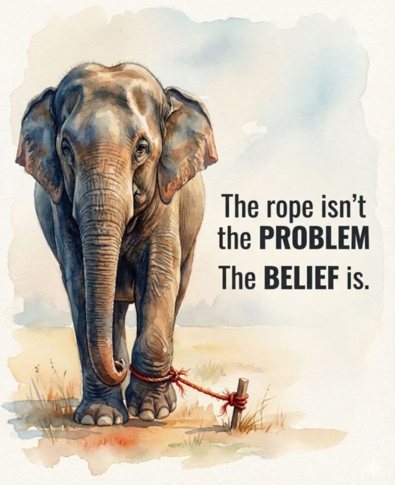 The rope isn't the PROBLEM The BELIEF is