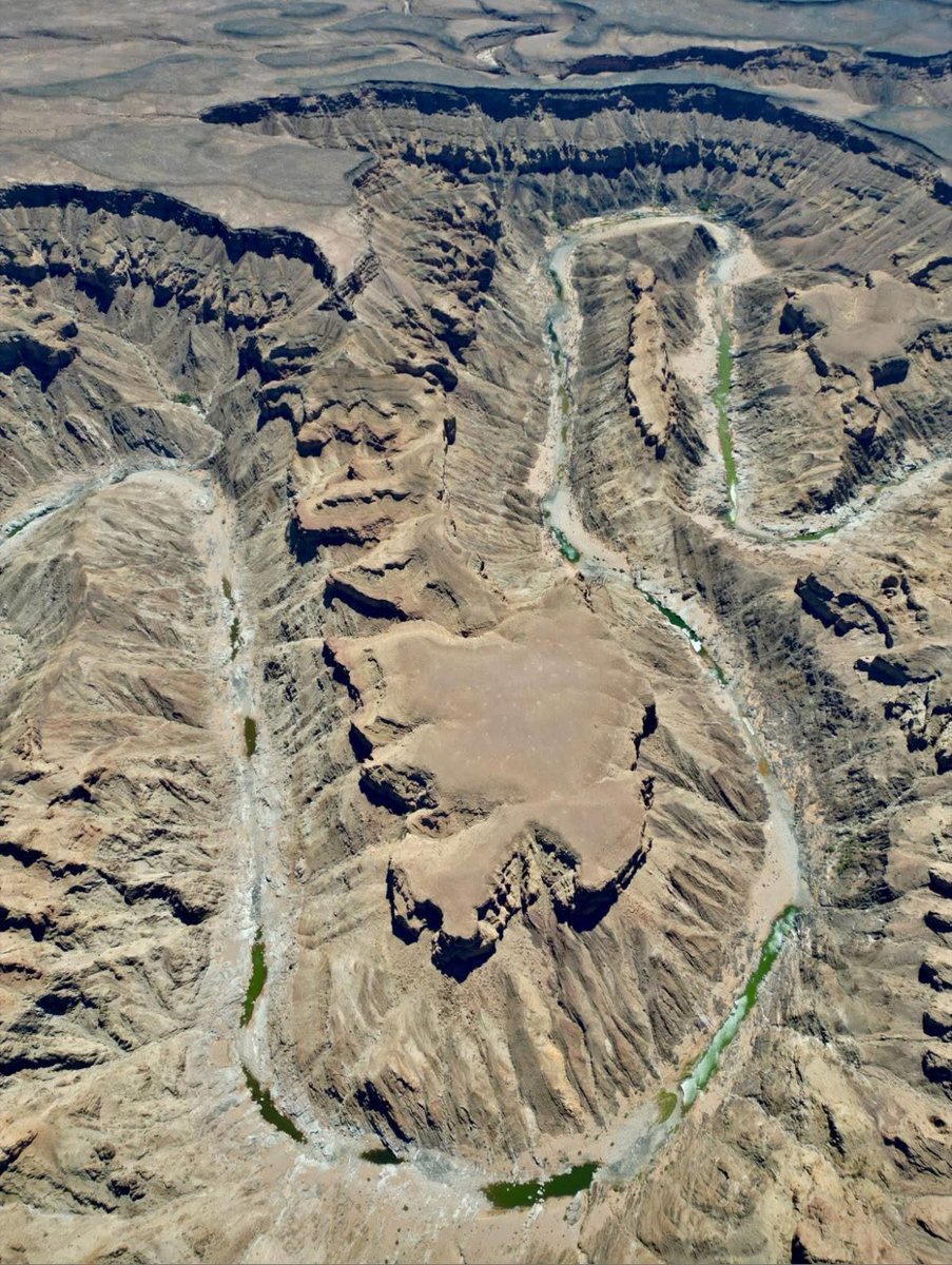 Micky 🎤⚽️🌱🇳🇦 tweet media