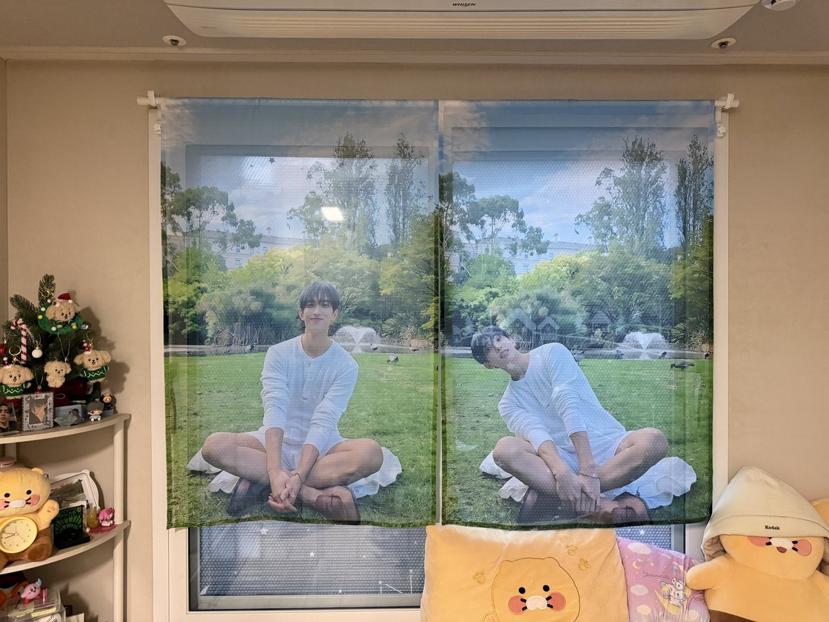 첼쨩 tweet media